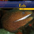 Eels - 9781435827547 by Tori Miller, 9781435827547