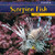 Scorpion Fish by Tori Miller, 9781435827554