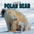 Save the Polar Bear by Sarah Eason, 9781435828100