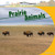 Prairie Animals - 9781435831964 by Connor Dayton, 9781435831964
