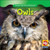 Owls - 9781433924064 by JoAnn Early Macken, 9781433924064