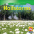 Hailstorms - 9781433923470 by Jim Mezzanotte, 9781433923470