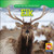Elk - 9781433924125 by JoAnn Early Macken, 9781433924125