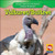 Vultures / Buitres (Bilingual Edition) by JoAnn Early Macken, 9781433924248