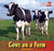 Cows on a Farm by Abbie Mercer, 9781404280472