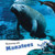 Swimming with Manatees by Miriam Coleman, 9781404280922