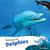 Swimming with Dolphins - 9781435832374 by Miriam Coleman, 9781435832374