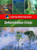 Deforestation Crisis by Richard Spilsbury, 9781435853539