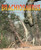 Brachiosaurus - 9781435886001 by Rob Shone, Terry Riley, 9781435886001
