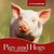 Pigs and Hogs by Steven Otfinoski, 9780761439714