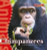 Chimpanzees - 9780761443414 by Daniel A. Greenberg, Christina Wilsdon, 9780761443414