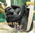 Meet the Ape - 9781435897342 by Susanna Keller, 9781435897342