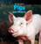 Pigs Are Smart! - 9781435898349 by Leigh Rockwood, 9781435898349