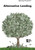 Alternative Lending by Amanda Hiber, 9780737747539