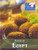 Foods of Egypt by Barbara Sheen, 9780737748437
