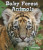 Baby Forest Animals by Jane Katirgis, 9780766037984