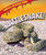Rattlesnake! - 9781607549581 by Willow Clark, 9781607549581