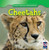 Cheetahs - 9781433938641 by Ethan Grucella, 9781433938641