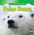 Polar Bears - 9781433939051 by Maeve T. Sisk, 9781433939051