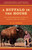 A Buffalo in the House (The Extraordinary Story of Charlie and His Family) by R. D. Rosen, 9780812978889