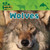 Wolves - 9781433940323 by Christina Wilsdon, 9781433940323