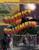 District of Columbia by Liz Sonneborn, 9781435895010