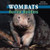 Wombats - 9781448806973 by Lynn George