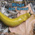 Slugs Are Gross! by Leigh Rockwood, 9781448807048