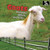 Goats - 9781448813391 by Lorijo Metz, 9781448813391