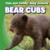 Bear Cubs - 9781433944994 by Grace Elora, 9781433944994