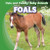 Foals - 9781433945076 by Grace Elora, 9781433945076