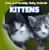 Kittens - 9781433945120 by Grace Elora, 9781433945120