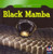 Black Mamba - 9781433945304 by Angelo Gangemi