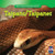 Taipan / Taipán (Bilingual Edition) by Shanya Worthy, 9781433945694