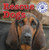 Rescue Dogs - 9781433946684 by Kristen Rajczak Nelson, 9781433946684