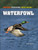 Waterfowl - 9781448822737 by Philip Wolny