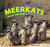 Meerkats (Life in the Mob) by Willow Clark, 9781448825110