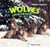 Wolves (Life in the Pack) by Willow Clark, 9781448825158