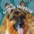 I Love My German Shepherd by Abigail Beal, 9781448825356