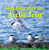 Migrating with the Arctic Tern by Thessaly Catt, 9781448825424