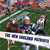 The New England Patriots by Sloan MacRae, 9781448825752