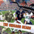 The Chicago Bears - 9781448827497 by Sloan MacRae, 9781448827497