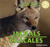Jackals / Chacales (Bilingual Edition) by Maddie Gibbs, 9781448831197