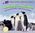 Penguins: Life in the Colony / Pingüinos: Vida en la colonia by Willow Clark, 9781448831241