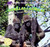 Gorillas: Life in the Troop / Gorilas: Vida en la manada by Willow Clark, 9781448831272