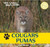Cougars / Pumas by Henry Randall, 9781448831289