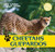 Cheetahs / Guepardos - 9781448831302 by Henry Randall, 9781448831302