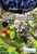 Biomes and Ecosystems - 9781615303021 by John P. Rafferty Associate Editor, Earth Sciences, 9781615303021