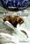 Rivers and Streams by John P. Rafferty Associate Editor, Earth Sciences, 9781615303267