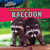 Your Neighbor the Raccoon - 9781448850006 by Greg Roza, 9781448850006